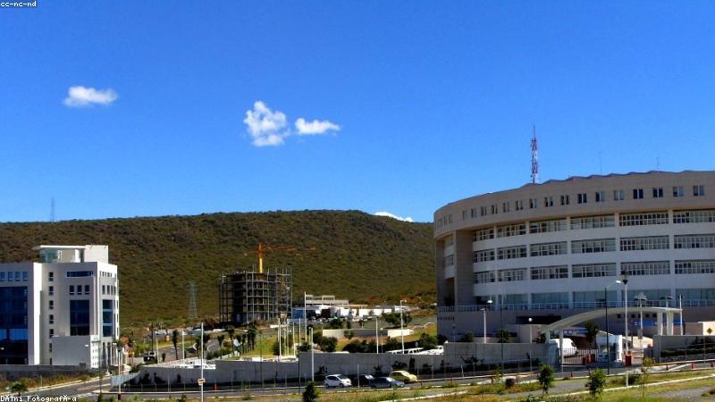 搜番智能追番引擎首页界面展示